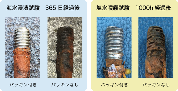 海水浸漬塩水噴霧結果